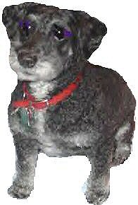Max...Phyl