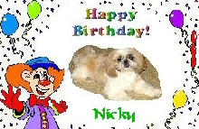 Nicky Birthday