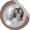 Nicky ornament