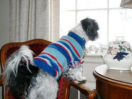 Sweater