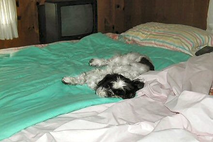 Not getting up....