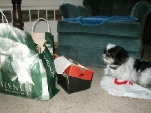 Old photos...Katie