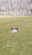 Park...Feb.