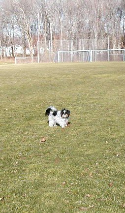 Park...Feb.