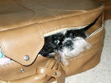 Peek a boo...