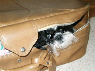 Peek a boo...