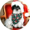 Picture for Sally..