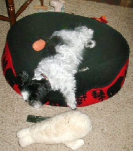 Playing is hard work...