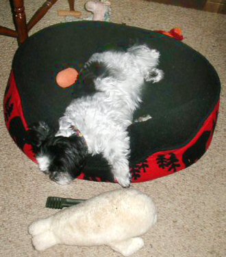 Playing is hard work...