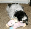 Pony and Katie