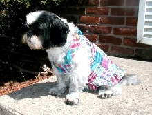 Pretty dress Katie