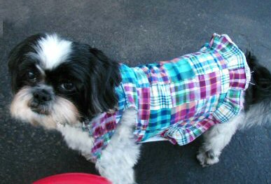 Pretty girl dress...C