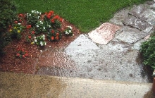Puddles..front door