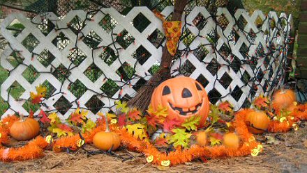 Pumpkin Patch 09