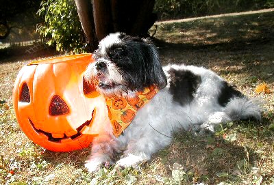 Pumpkin bath