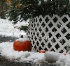 Pumpkin snow