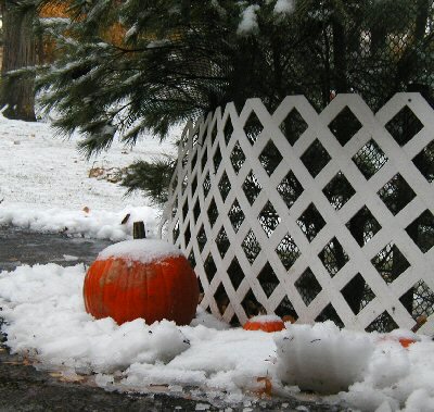 Pumpkin snow