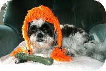 Pumpkin wig