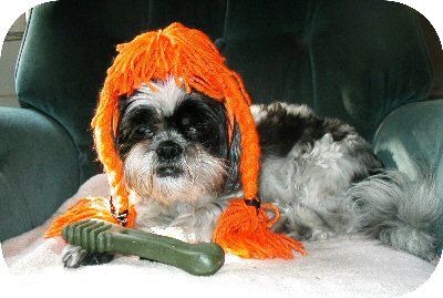 Pumpkin wig