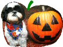 PumpkinsigK