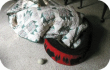 Quilt Anim...