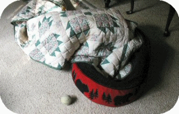 Quilt Anim...