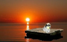 Raft sunset