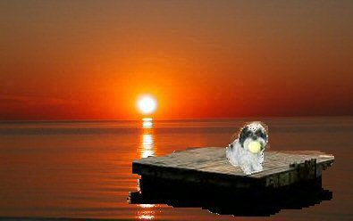 Raft sunset