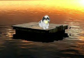 Raft....Katie