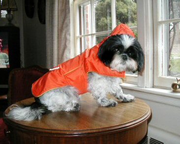 Rain, rain, go away...