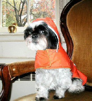 Rain, rain....go away