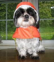 Raincoat Katie latest