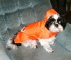 Raincoat