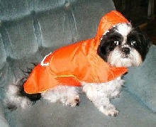 Raincoat Katie chair