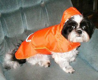 Raincoat Katie chair