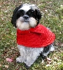 Red jacket