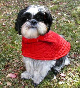 Red jacket