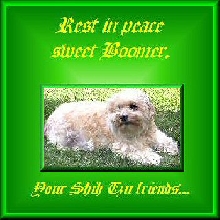 Rest in peace sweet Boomer.