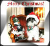Santa Katie