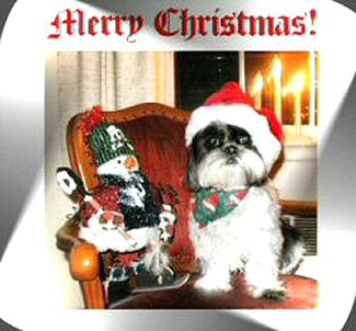 Santa Katie