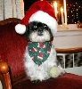 Santa Katie bath sm