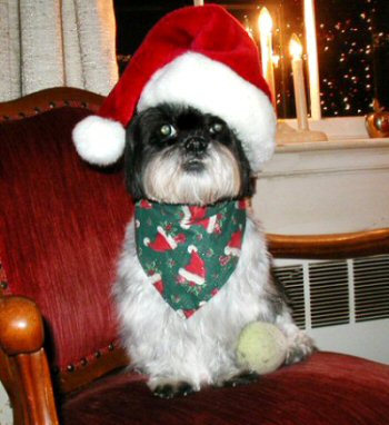 Santa Katie bath sm