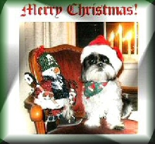 Santa Katie on chair