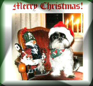 Santa Katie on chair