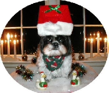 Santa Katie...table