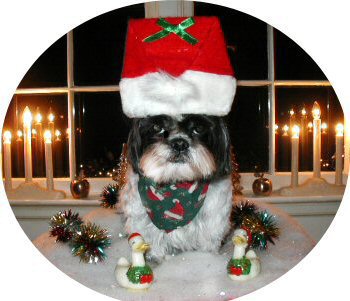 Santa Katie...table