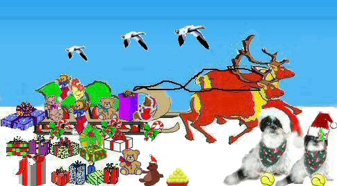 Santa and Mrs Paws getting ready...