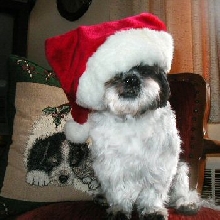 Santa hat over eyes