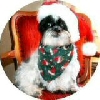 Santasig