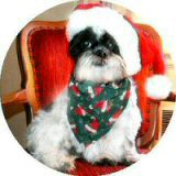 Santasig